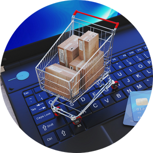 1._Development of Advanced E-Commerce Platforms