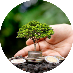 Green Finance and Sustainable Investment Products