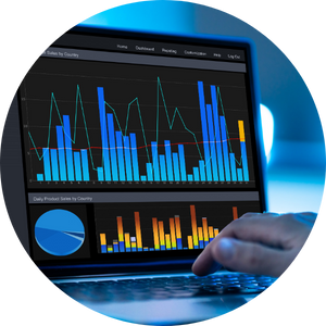 4. Data Analytics and Insights